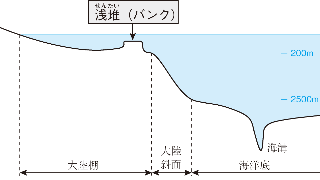 浅堆（バンク）