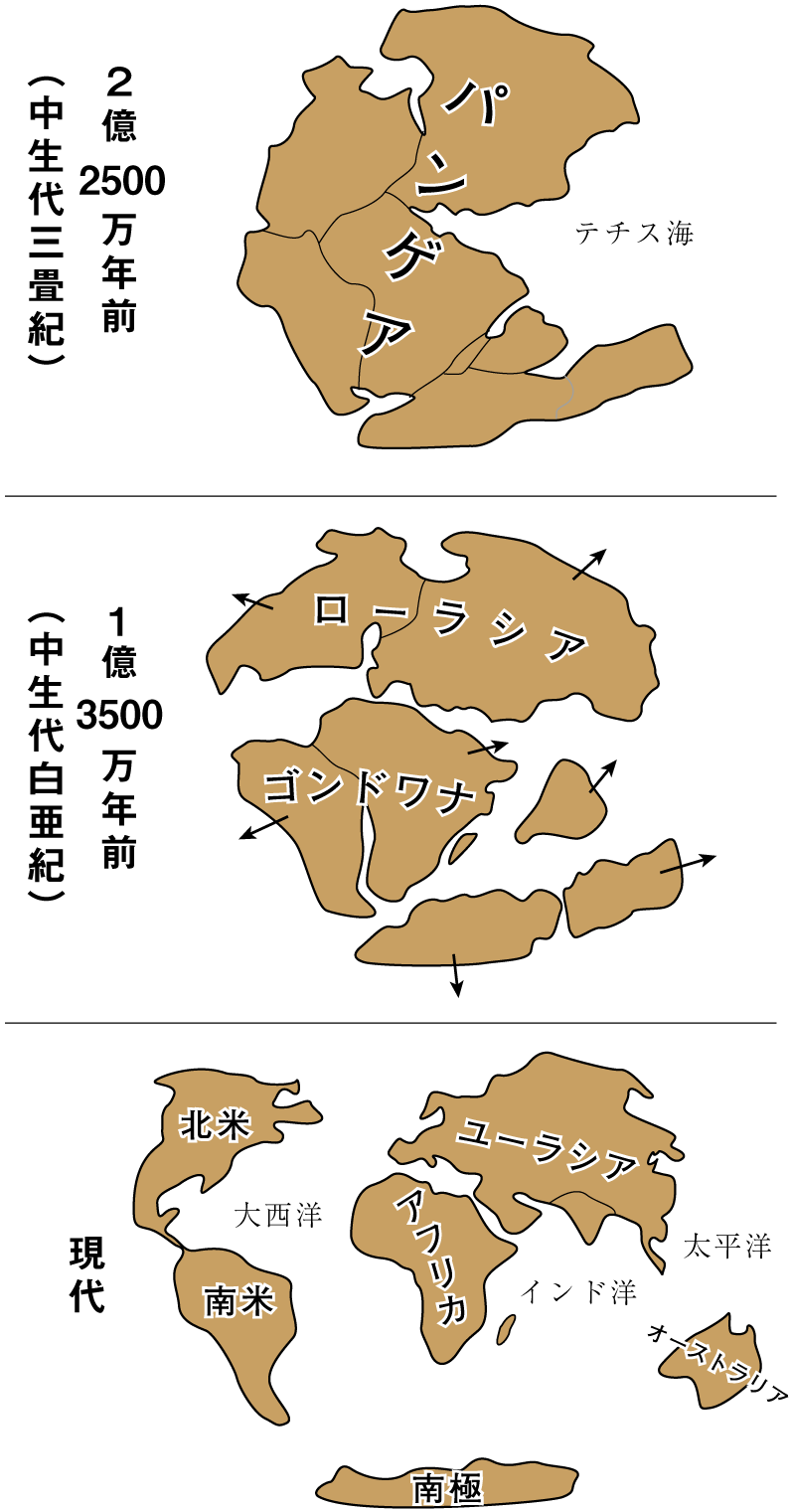 パンゲアの分裂