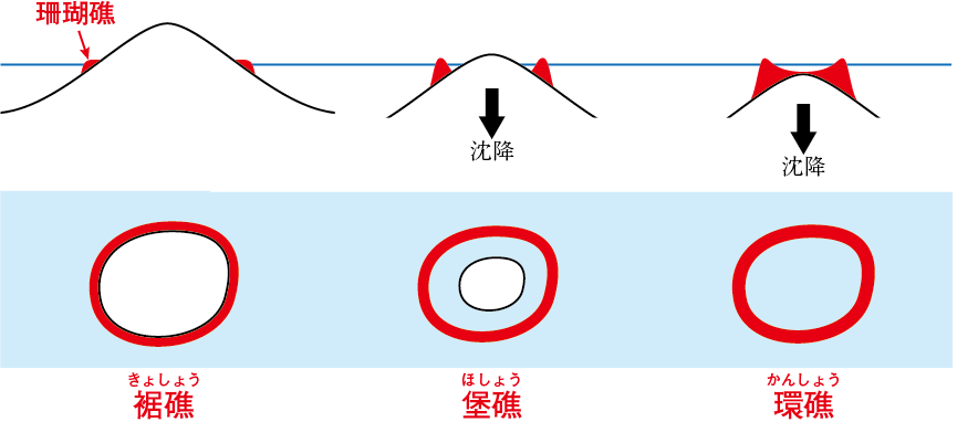 裾礁と堡礁と環礁
